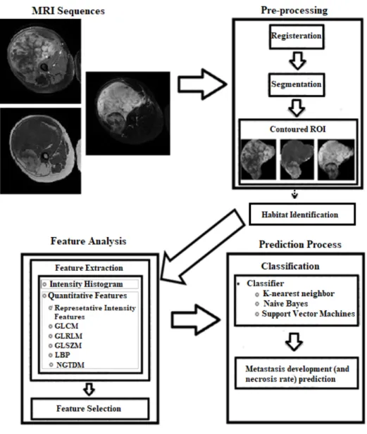 Figure 3.1. Radiomics workflow on STS