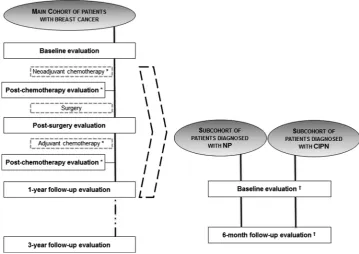 Figure 1Study design and timing of baseline and follow-up evaluations in the main cohort and neuropathic pain andchemotherapy-induced peripheral neuropathy subcohorts