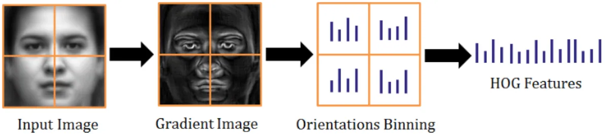 Figure 7. The generation of HOG features.