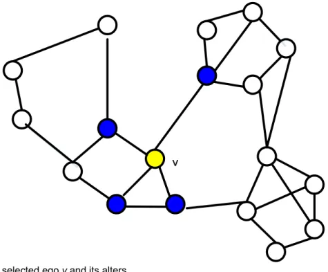 Figure 4-2. The selected ego v and its alters. 