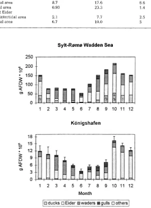 Table 3. Consumption by carnivorous birds in the Sylt-Reme Wadden Sea, in the K6nigshafen (both calculated from values given in Tables 1 and 2) and in the Dutch Wadden Sea (Smit, 1980; recalcu- lated with assumptions used in this paper); values are in g AF