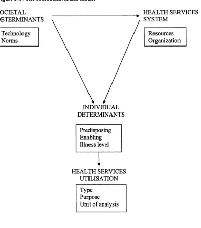 Figure 3.1. The sociobehavioural model
