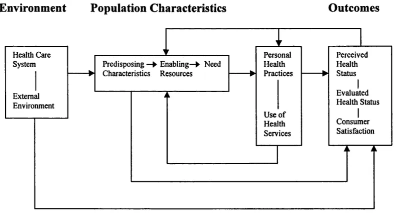 Figure 3.2. The revised sociobehavioural model 