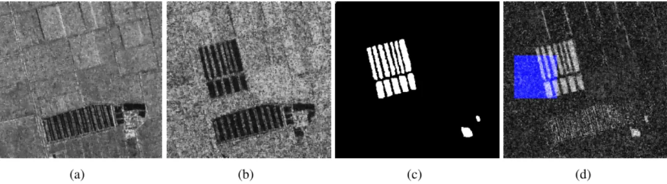 Figure 7: Multitemporal images relating to Farmland of Yellow River Estuary. (a) SAR image acquired in June 2008, (b) SAR image acquired in June 2009, (c) ground truth and (d) examples extracted for model training and validation.