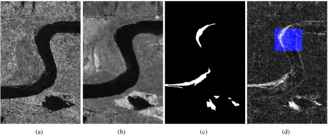 Figure 9: Multitemporal images relating to Inland water of Yellow River Estuary. (a) SAR image acquired in June 2008, (b) SAR image acquired in June 2009, (c) ground truth and (d) examples extracted for model training and validation.