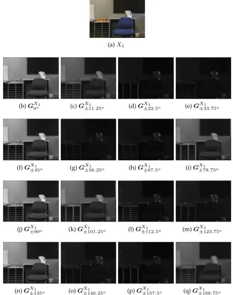 Figure 6.5: An original image X 1 and the corresponding magnitudes of the complex- complex-valued directional subbands.