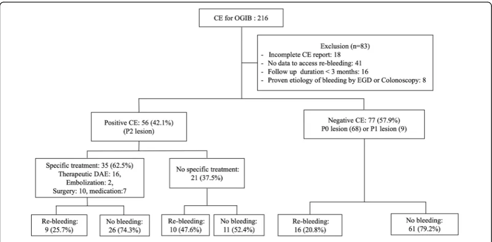Fig. 1 Clinical course of 133 capsule enteroscopy study subjects for obscure GI bleeding