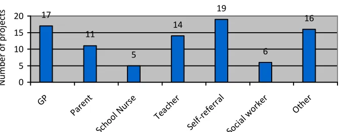 Figure 3.9: Distribution of projects (N=38) according to whether 