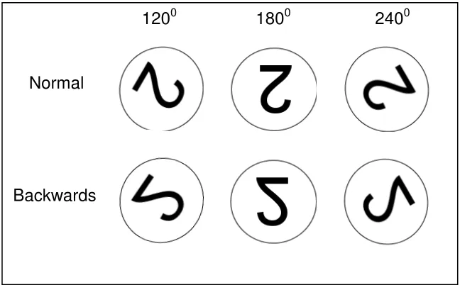 Fig 3.2: Example of Task 2 (Experiment 2) target stimuli, presented in ‘normal’ 
