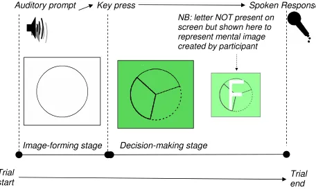 Fig 2.1: Example display of the Image-Forming Stage and Decision-Making 