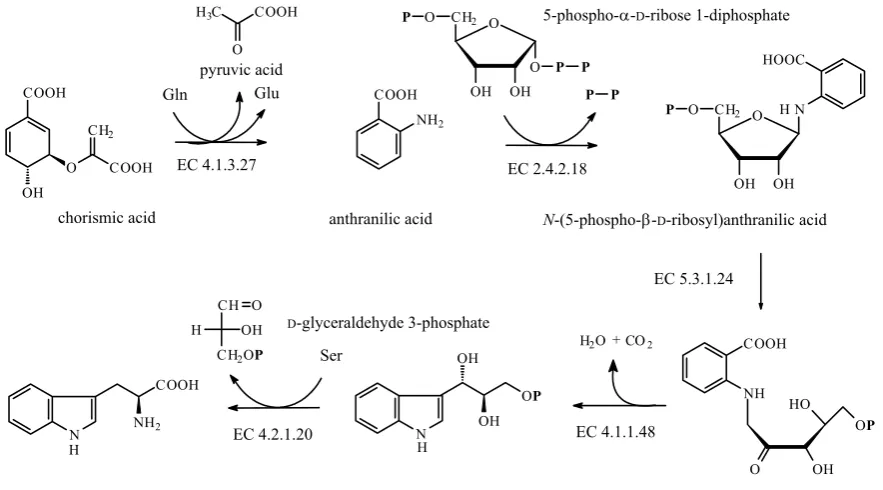 Figure 21