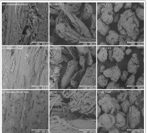 Fig. 3 SEM micrographs (×300) of untreated and pretreated a–c miscanthus; d–f poplar and g–i wheat straw samples with increasing pretreat-ment severities