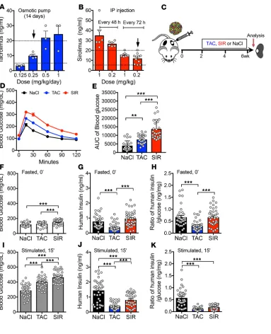 Figure 1. TAC and SIR treatment impairs β cell function of human islets in vivo. (A and B) TAC (A) and SIR (B) trough levels in NSG mice after 14 days of treatment with various doses and interval times