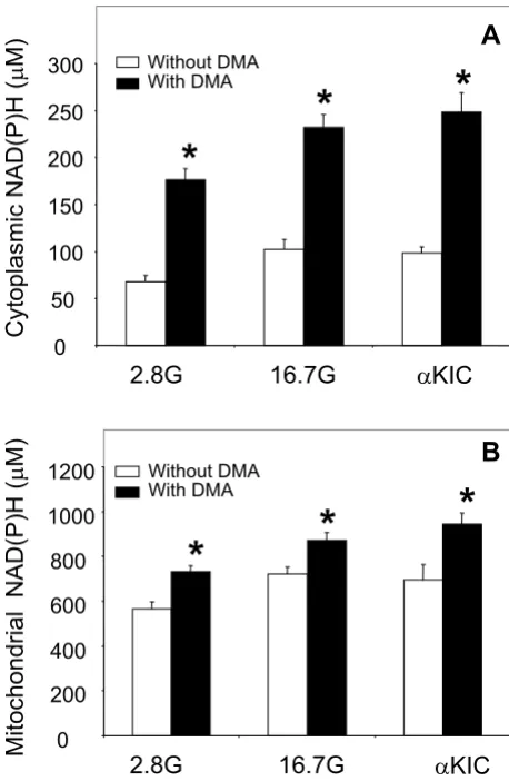 Figure 8productiontion without DMA. B. n = 6 ; * = p < 0.05, compared to same DMA increases cytoplasmic and mitochondrial NAD(P)H DMA increases cytoplasmic and mitochondrial NAD(P)H production: Islets were placed in basal KRBH with or without 40 µM DMA