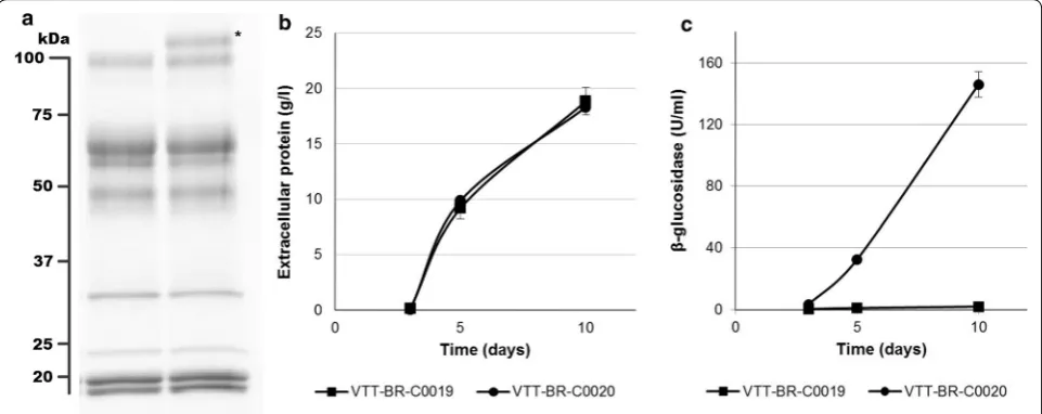 Fig. 5 Production of enzymes by VTT‑BR‑C0020 in shake flasks on an inducing medium as compared to the parental strain VTT‑BR‑C0019