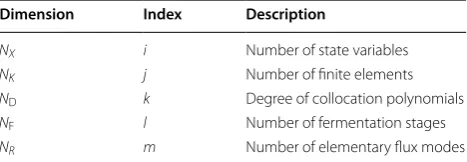 Table 1 Dimensions of the NLP problem