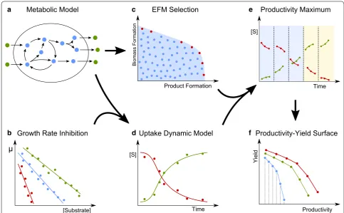 Fig. 1 Method overview. A flow chart for how productivity–yield surfaces are calculated