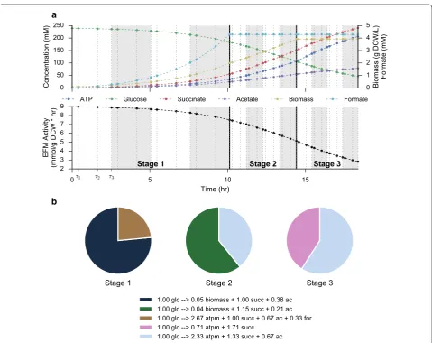 Fig. 3 Schematic of the dynamic optimization approach. Example optimum solution for maximum production of succinate in optimized