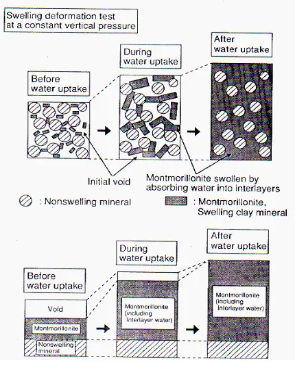 Figure 2 Swelling mechanism of montmorillonite  (Komine & Ogata 1996)  
