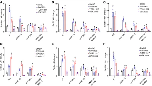 Figure 2. The LXR pathway is biologically active in AMD-vulnerable cells. (multiple comparisons