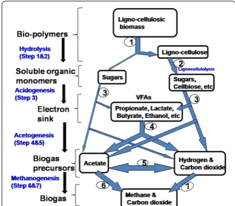 Fig. 11 Scheme of anaerobic biodegradation process of lignocel-lulosic substrate