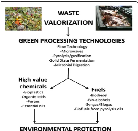 Fig. 1 A scheme of green processing technologies for waste valorisa-tion [13]