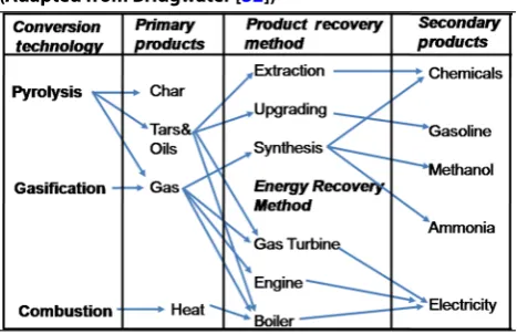 Fig. 5 The temperature overlapping of thermo-chemical conversion technologies