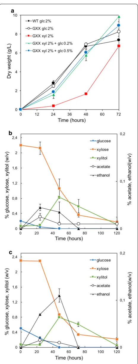Fig. 5 Growth kinetics of the GXX strain of A. gossypii using mixed 