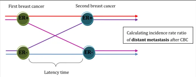 Figure 10: Analytical approach of Study III. 