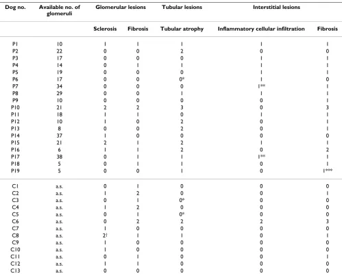 Table 2: Glomerular, tubular and intestitial lesions in 19 dogs with pyometra (P1–P19) and 13 control dogs (C1 – C13)
