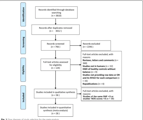 Fig. 1 Flow diagram of study selection for the meta-analysis