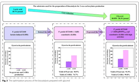 Fig. 3 The optimization process of the biocatalysts prepared with glycerol