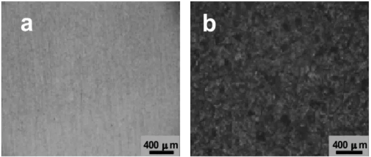 Figure 2 indicates the distribution of nano-indentation hardness  depth of the cross section of the TC21 alloy after shot  peen-ing