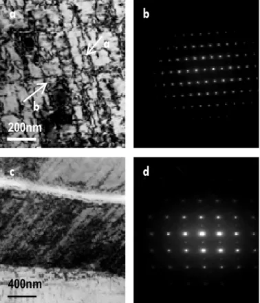 Figure 8 shows the classical dislocation structure at 50 μm  from  surface.  It  is  found  that  dense  dislocation  networks  are  formed, which are composed of dislocation bands and lots of  single dislocation lines between the bands