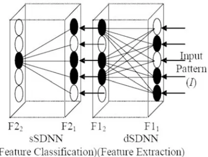 Figure 1: Snap-Drift Neural Network (SDNN) architecture (from Lee & Palmer-Brown, 2005) 
