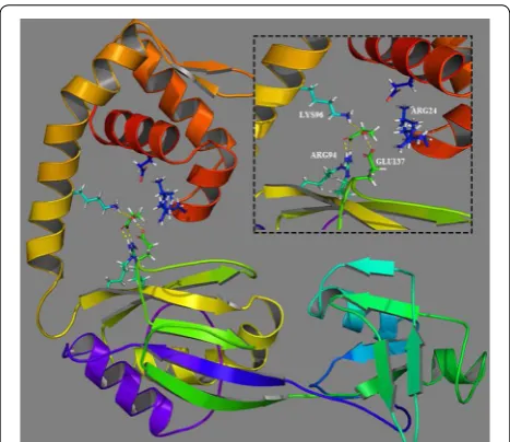 Fig. 3 Predicted three-dimensional (3D) structure and docking analysis of C4-LysR in Pseudomonas denitrificans ATCC 13867