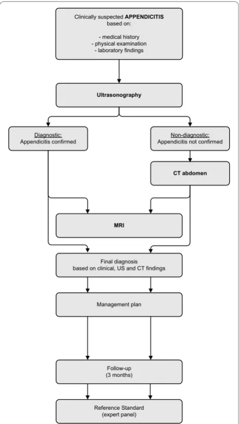 Figure 1 The OPTIMAP study flowchart.