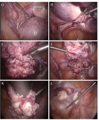 Fig. 3 (continued)