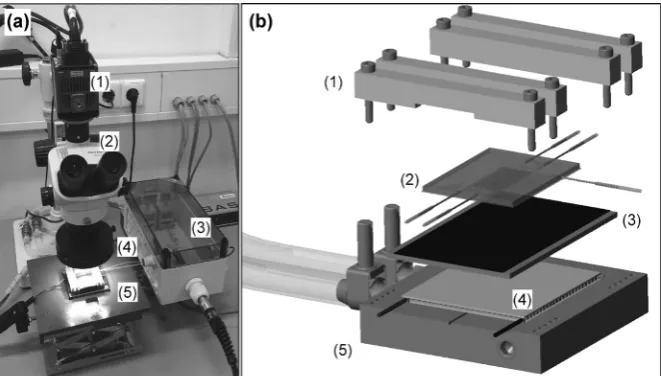 Figure 1. (a) Experimental microfluidic setup: (1) CCD camera, (2) microscope, (3) device: (1) chip mounting, (2) microfluidic device, (3) aluminum slab (s = 2 mm) with thermal conductive foil (s = 0.2 mm), (4) Peltier element and (5) thermostatted alumi-t