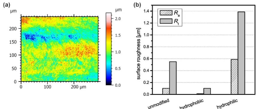 Figure 4. (a) Example of a typical surface roughness plot of a hydrophobically modified microchannel