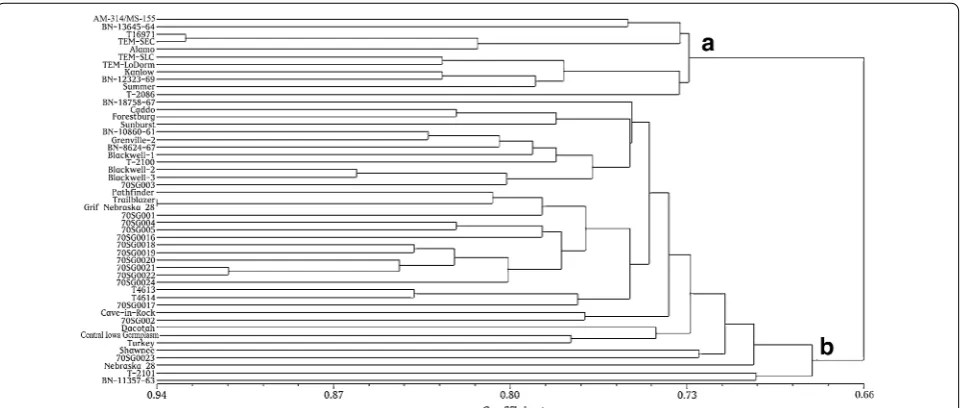 Table 2 The number of SRAP fragments generated from 12 primer pair combinations in switchgrass