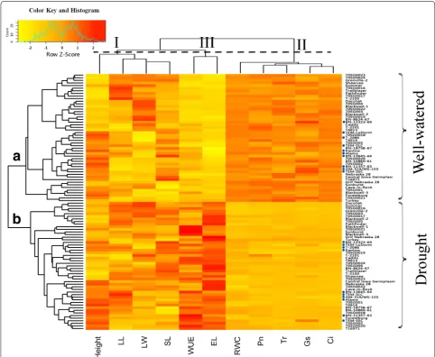 Fig. 2 Heatmap and hierarchical clustering for morphological and physiological parameters under well-watered and drought stress conditions in 49 switchgrass genotypes after 30 days of treatment