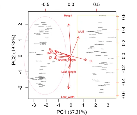 Fig. 3 Principal component analysis biplot of morphological and physiological traits of 49 switchgrass genotypes under well-watered and drought stress conditions after 30 days of treatment