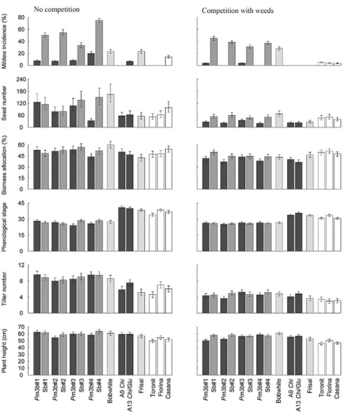 Figure 1. Mildew incidence and performance of wheat lines grown without competition or in weed  communities