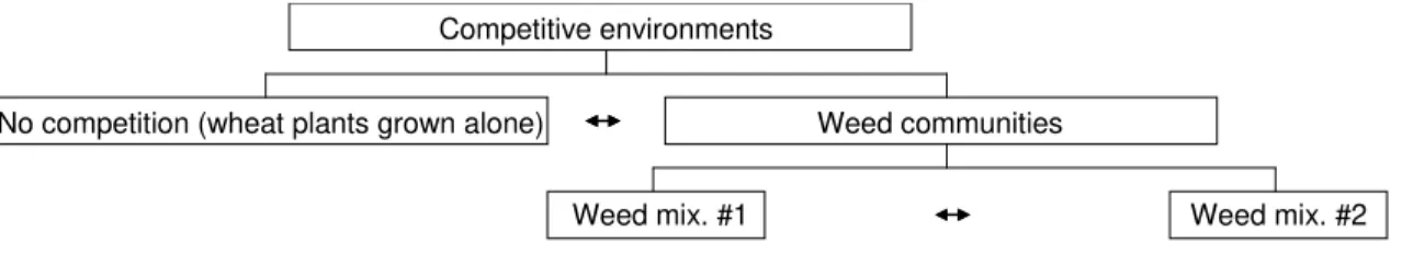 Figure S3. The structure of orthogonal contrasts used in the extended ANOVA models. 