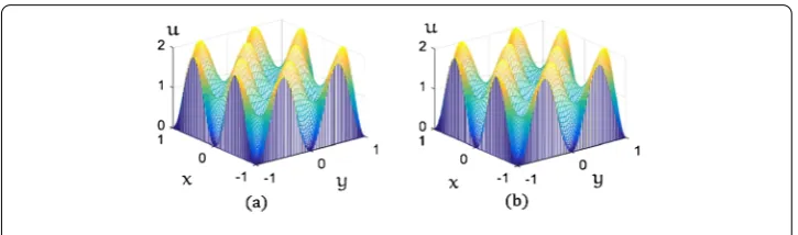 Figure 1 (a) The analytical solution when t = 0. (b) The CSM solution when t = 0