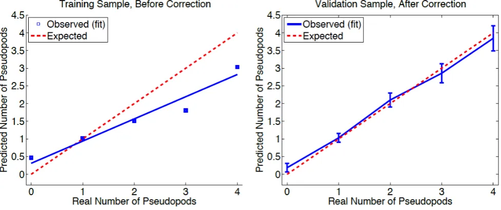 Fig. 2.Relation between the known number of pseudopods and the predicted average number of pseudopods for uncorrected data in the training sample(left)