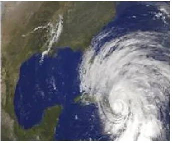 Fig. 2: An example satellite image with cloud and groundsurfaces for analysis of hurricane.