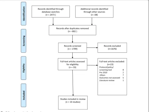 Fig. 1 Flow diagram detailing the search process
