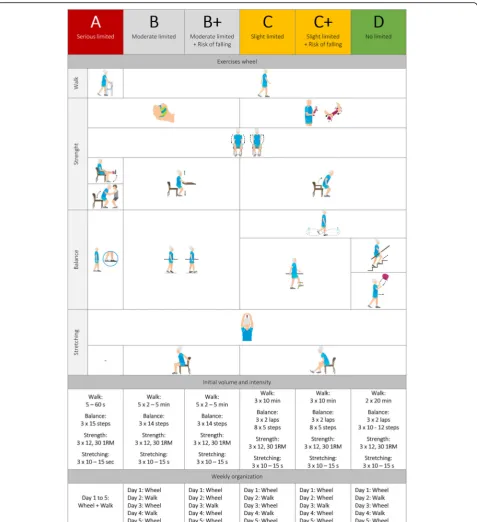 Fig. 2 Summary of the VIVIFRAIL multicomponent exercise intervention program. Individualization based on baseline testing scores